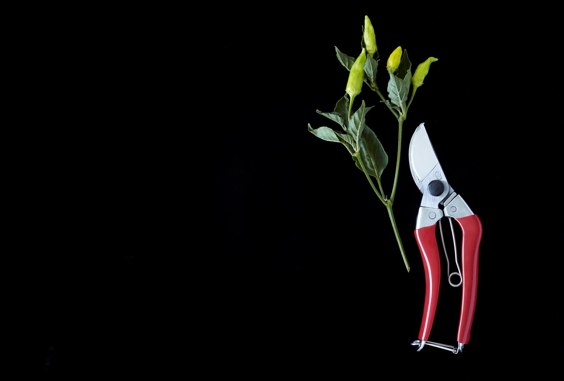 Clipper and Peppers | Product Still Life Photographer, Marshall Gordon