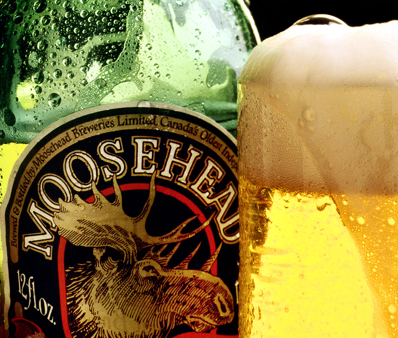 Moose-Head-Beer