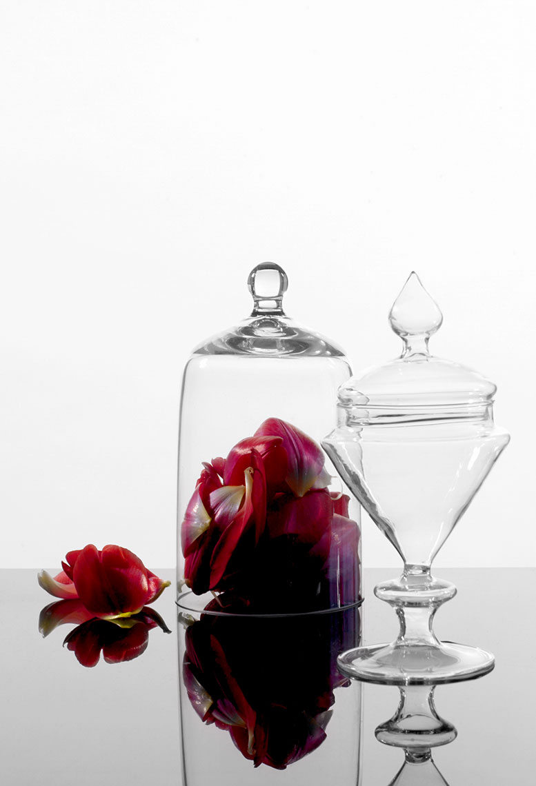 glass-and-rose